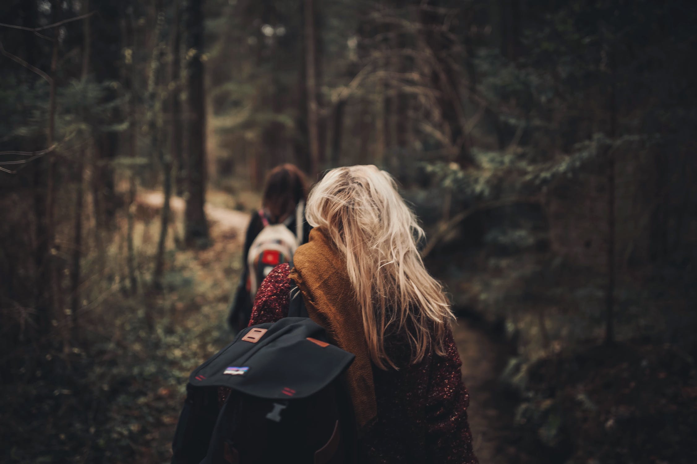 Trail
